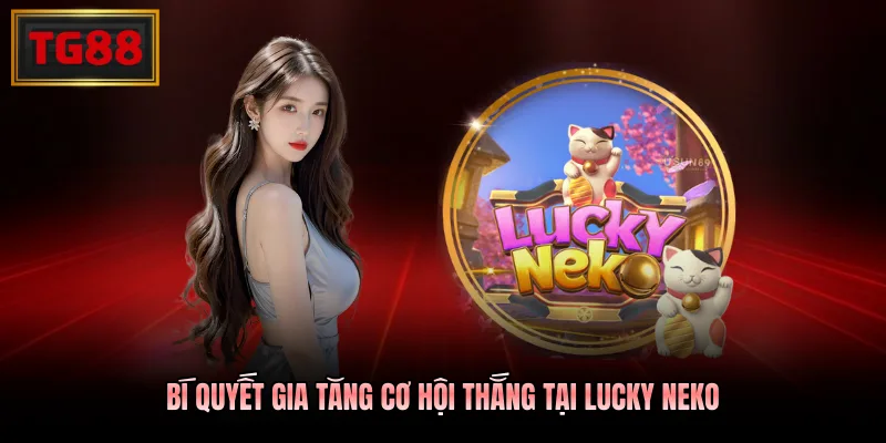 Bí quyết gia tăng cơ hội thắng tại Lucky Neko 