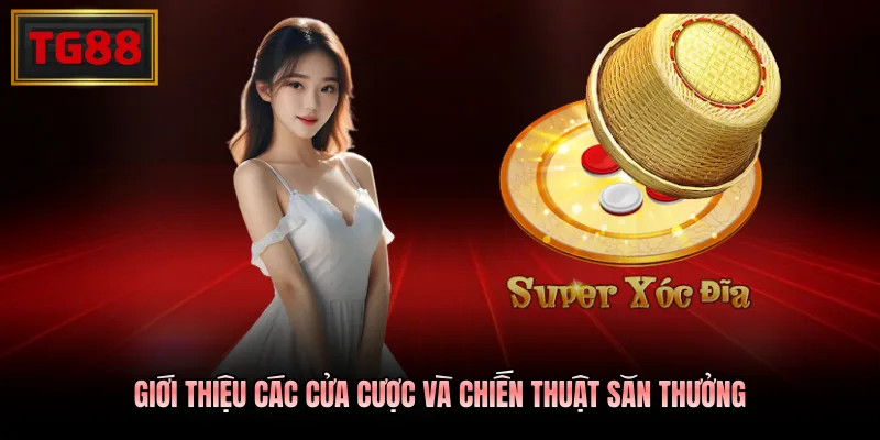 Giới thiệu các cửa cược và chiến thuật săn thưởng