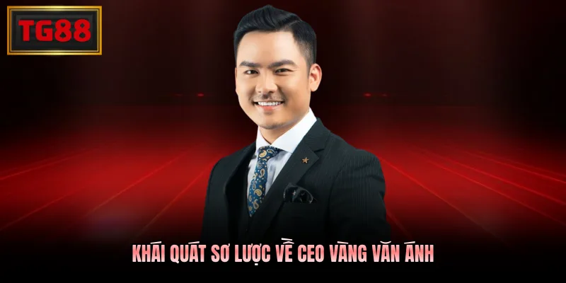 Khái quát sơ lược về Ceo Vàng Văn Ánh
