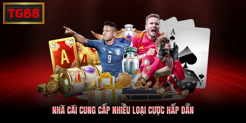 Nhà cái cung cấp nhiều loại cược hấp dẫn