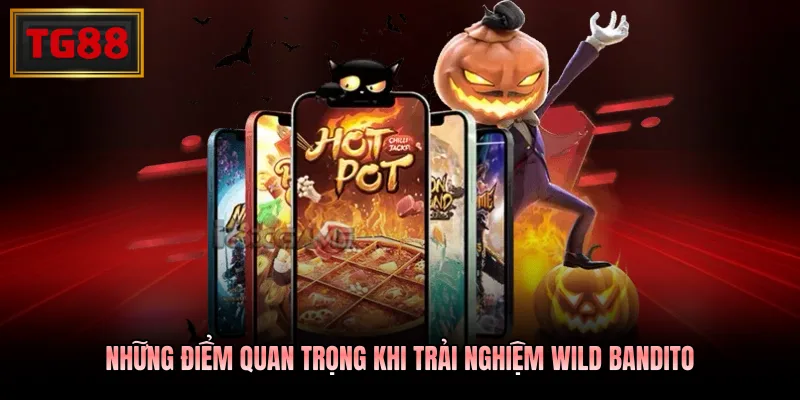 Những điểm quan trọng khi trải nghiệm Wild Bandito