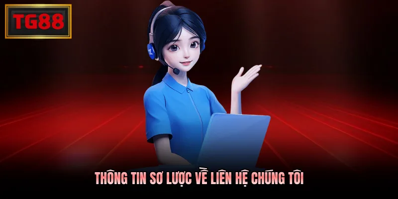 Thông tin sơ lược về liên hệ chúng tôi