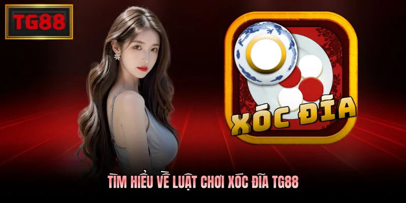 Tìm hiểu về luật chơi xóc đĩa TG88