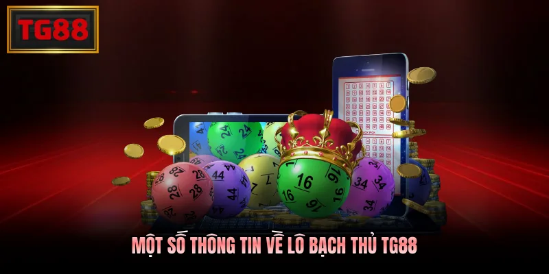 Một số thông tin về lô bạch thủ TG88